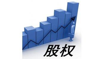 有限责任公司股权转让的主要形式与限制条件